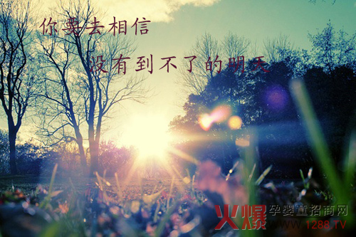Ҫȥţ](mi)е˵