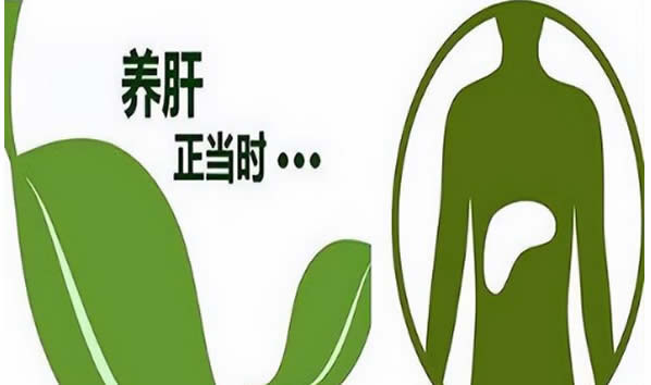 logo.jpg logo.jpg