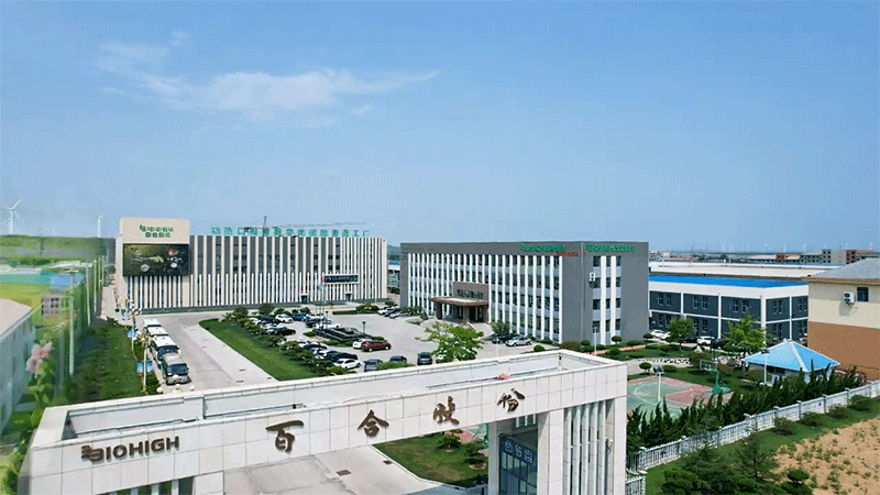 ȫٺϿG܊м8ܹSȫҕ