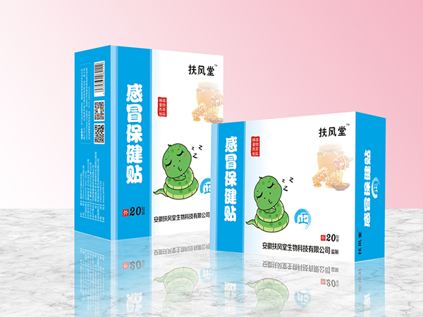 扶風(fēng)堂感冒保健貼 正