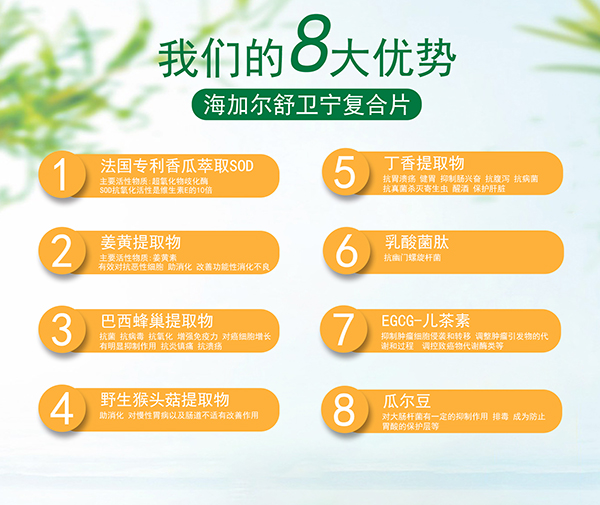 海加爾舒衛(wèi)寧.jpg