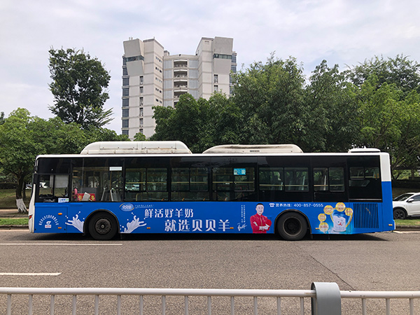 貝貝羊1.jpg 貝貝羊1.jpg