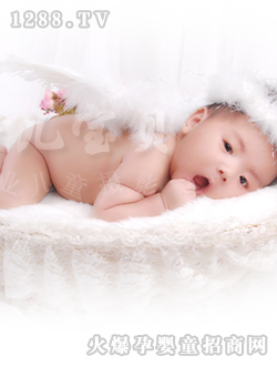 ���쌚���ɐ���Ƭ